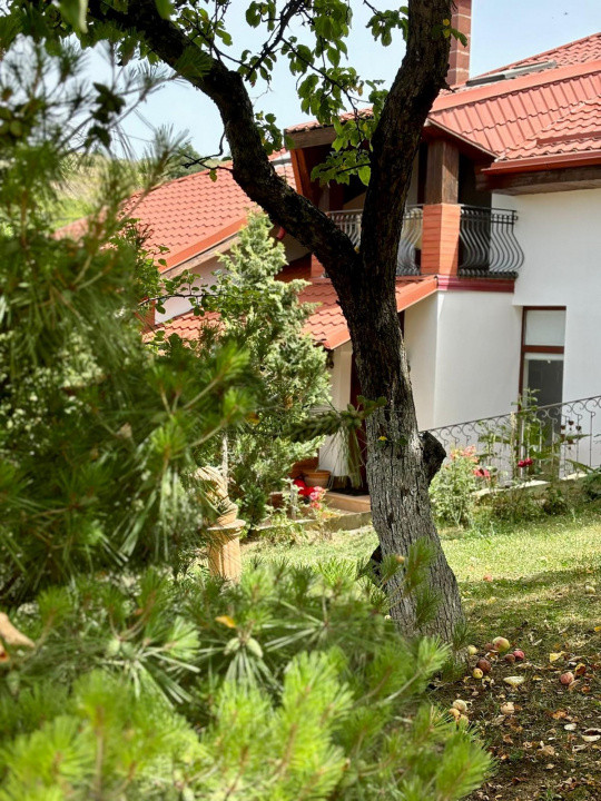 Casa individuala cu 5 camere si teren de 1 hectar - Ghioroc - Arad 16, foxfort.ro