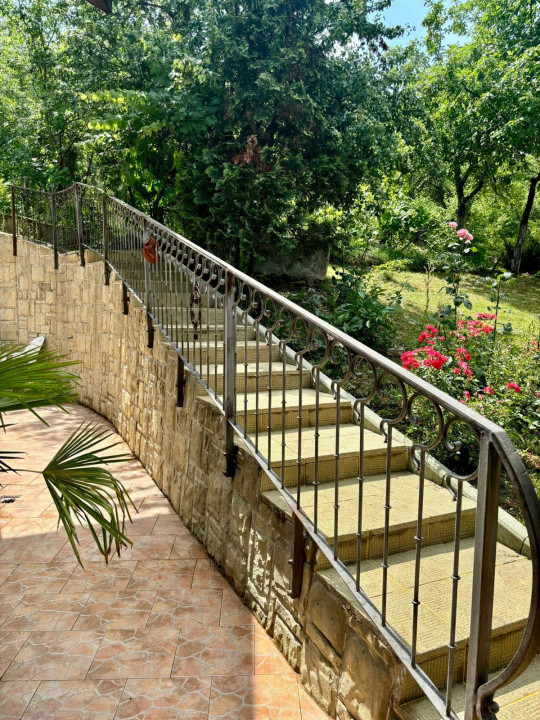 Casa individuala cu 5 camere si teren de 1 hectar - Ghioroc - Arad 26, foxfort.ro