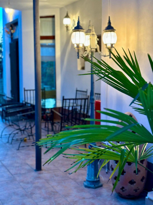 Casa individuala cu 5 camere si teren de 1 hectar - Ghioroc - Arad 34, foxfort.ro