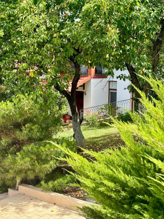 Casa individuala cu 5 camere si teren de 1 hectar - Ghioroc - Arad 36, foxfort.ro