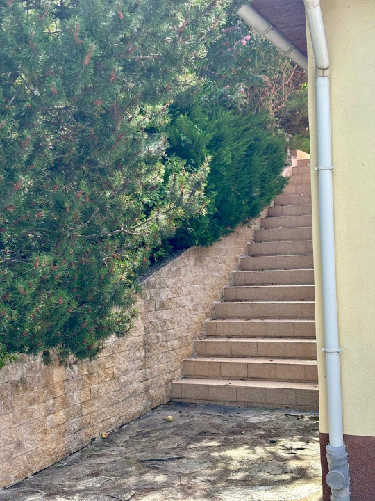 Casa individuala cu 5 camere si teren de 1 hectar - Ghioroc - Arad 40, foxfort.ro