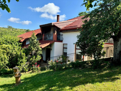 Casa individuala cu 5 camere si teren de 1 hectar - Ghioroc - Arad