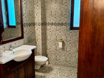 Casa individuala cu 5 camere si teren de 1 hectar - Ghioroc - Arad imagine mica 12, foxfort.ro