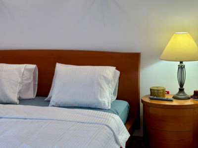 Casa individuala cu 5 camere si teren de 1 hectar - Ghioroc - Arad imagine mica 15, foxfort.ro