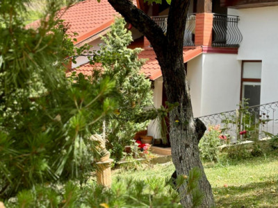 Casa individuala cu 5 camere si teren de 1 hectar - Ghioroc - Arad imagine mica 16, foxfort.ro