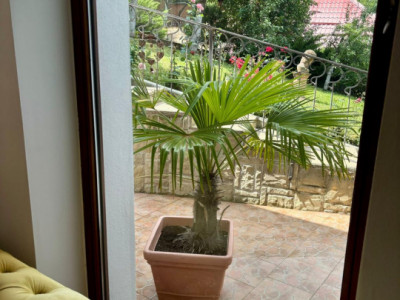 Casa individuala cu 5 camere si teren de 1 hectar - Ghioroc - Arad imagine mica 21, foxfort.ro