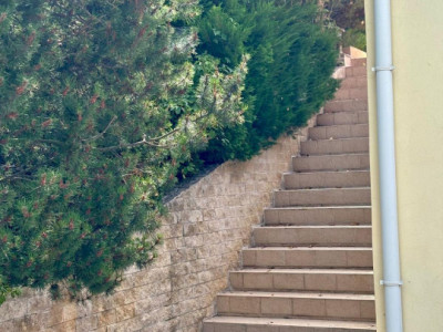 Casa individuala cu 5 camere si teren de 1 hectar - Ghioroc - Arad imagine mica 31, foxfort.ro