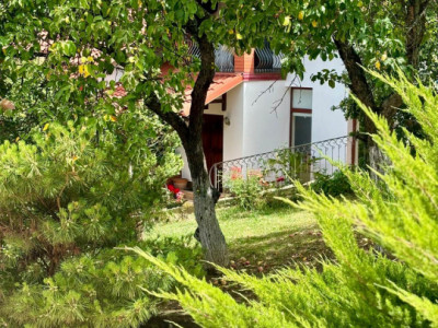 Casa individuala cu 5 camere si teren de 1 hectar - Ghioroc - Arad imagine mica 36, foxfort.ro