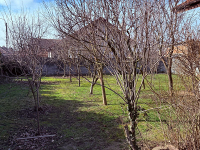 Casa individuala cu 7 camere si 1752 mp teren - zona Ghiroda imagine mica 15, foxfort.ro