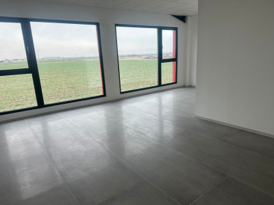 Hala industriala 500 mp + birouri, 1398 mp teren, acces TIR - Giarmata Vii imagine mica 5, foxfort.ro