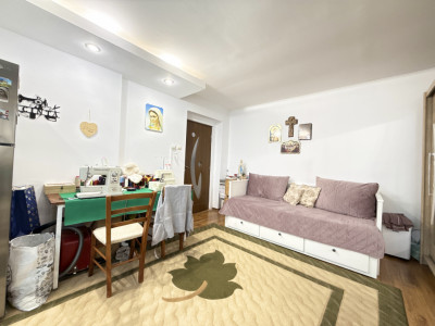Apartament cu 2 camere de vanzare in Timisoara, zona Ronat imagine mica 16, foxfort.ro