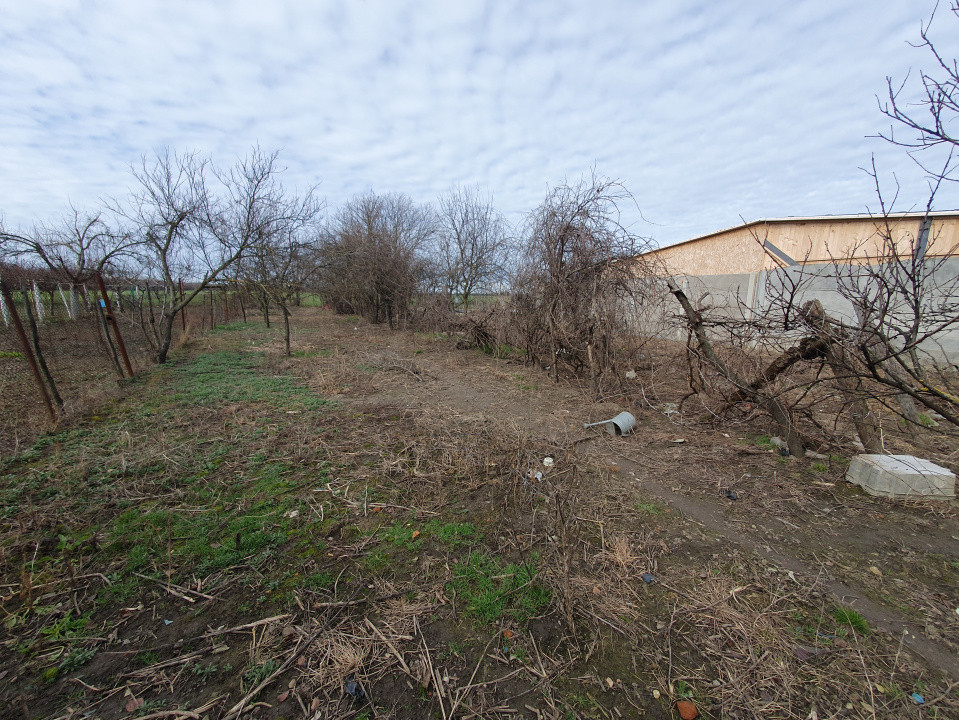 Casa de vanzare cu 3 camere si teren de 1008 mp - Deta 16, foxfort.ro