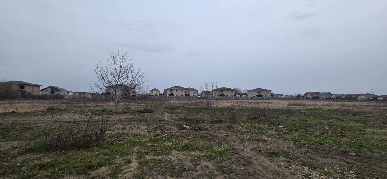 Parcele de teren intravilan cu destinatie SAD - Mosnita Noua 4, foxfort.ro