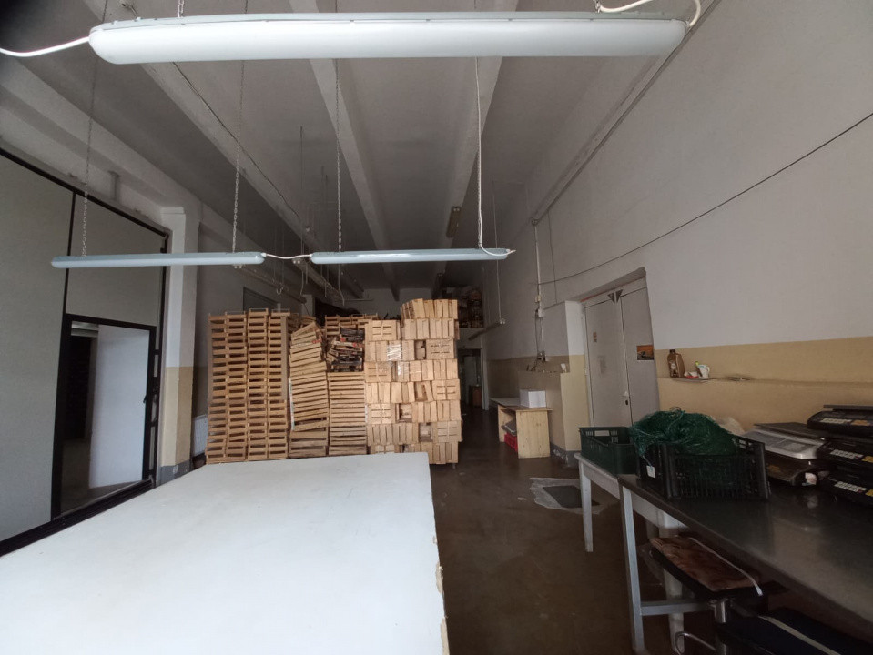 Hala industriala 1.411 mp, teren 2.068 mp - Acces TIR, Freidorf 5, foxfort.ro