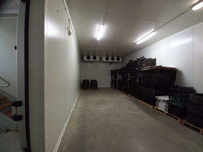 Hala industriala 1.411 mp, teren 2.068 mp - Acces TIR, Freidorf imagine mica 3, foxfort.ro