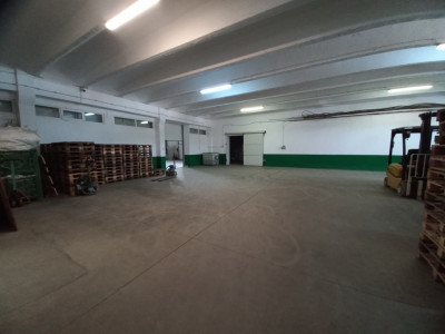 Hala industriala 1.411 mp, teren 2.068 mp - Acces TIR, Freidorf imagine mica 10, foxfort.ro