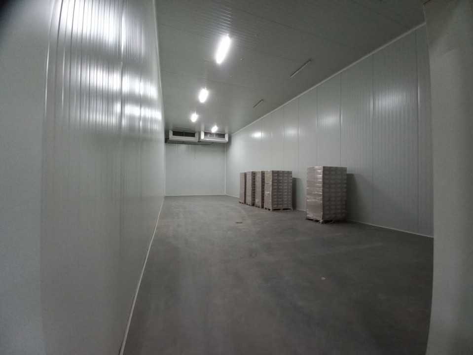 Hala industriala 572 mp, teren 1.615 mp - Zona Sud Timisoara 7, foxfort.ro