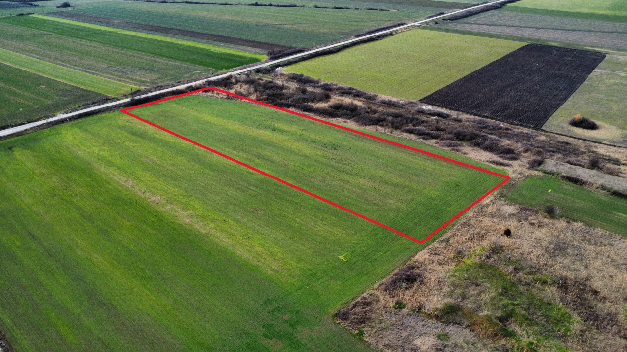 Teren industrial de vanzare de 25.000 mp, zona Deta 4, foxfort.ro