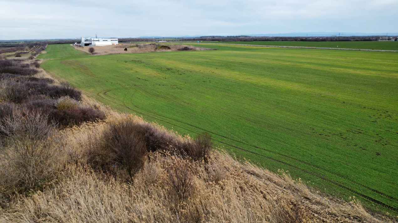 Teren industrial de vanzare de 25.000 mp, zona Deta 8, foxfort.ro