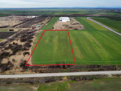 Teren industrial de vanzare de 25.000 mp, zona Deta imagine mica 2, foxfort.ro