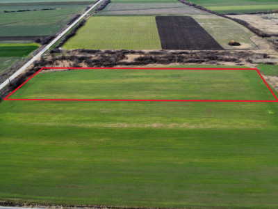 Teren industrial de vanzare de 25.000 mp, zona Deta imagine mica 3, foxfort.ro