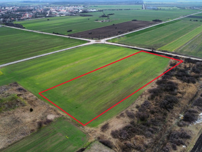 Teren industrial de vanzare de 25.000 mp, zona Deta imagine mica 5, foxfort.ro