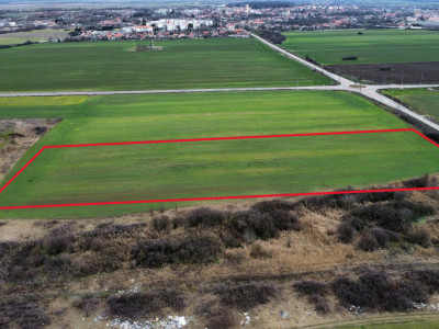 Teren industrial de vanzare de 25.000 mp, zona Deta imagine mica 6, foxfort.ro