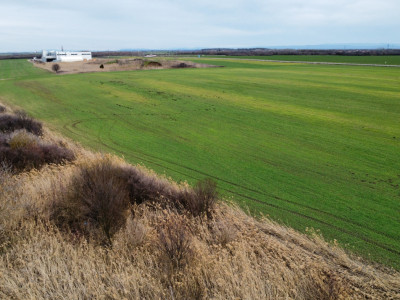 Teren industrial de vanzare de 25.000 mp, zona Deta imagine mica 8, foxfort.ro