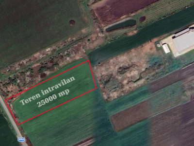 Teren industrial de vanzare de 25.000 mp, zona Deta imagine mica 9, foxfort.ro