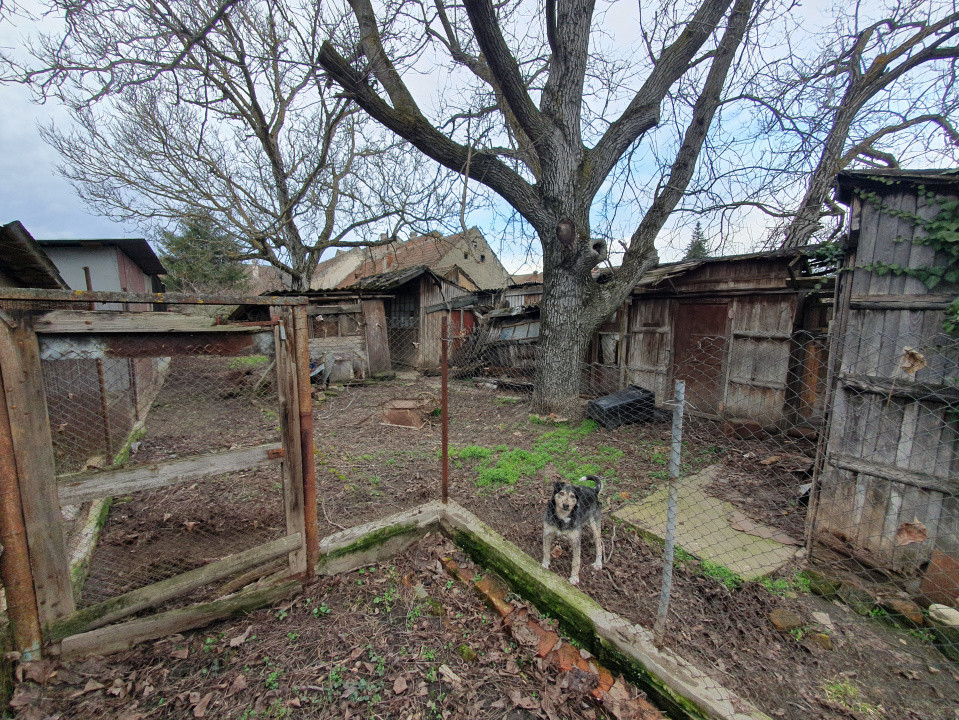 Apartament cu 5 camere de vanzare in Deta, zona Central 15, foxfort.ro