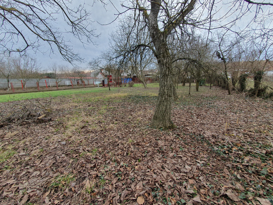 Apartament cu 5 camere de vanzare in Deta, zona Central 17, foxfort.ro