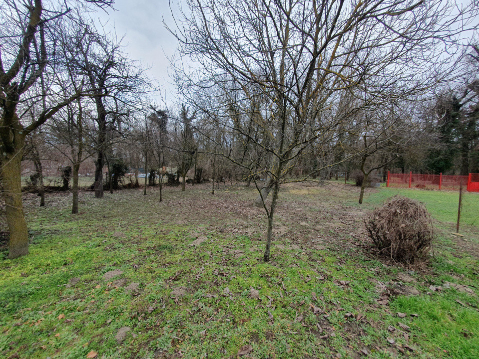 Apartament cu 5 camere de vanzare in Deta, zona Central 20, foxfort.ro