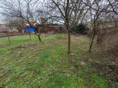 Apartament cu 5 camere de vanzare in Deta, zona Central imagine mica 16, foxfort.ro