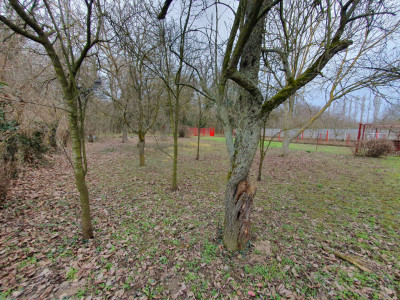 Apartament cu 5 camere de vanzare in Deta, zona Central imagine mica 19, foxfort.ro