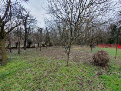 Apartament cu 5 camere de vanzare in Deta, zona Central imagine mica 20, foxfort.ro