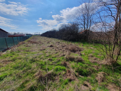 Teren intravilan de 1952 mp cu utilitati - zona Parta imagine mica 9, foxfort.ro