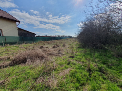 Teren intravilan de 1952 mp cu utilitati - zona Parta imagine mica 10, foxfort.ro