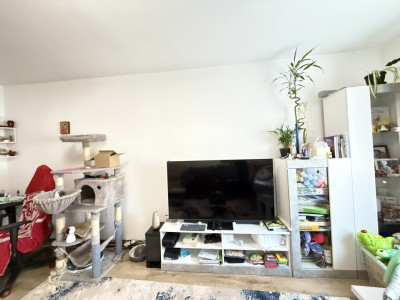 COMISION 0% Apartament cu 3 camere de vanzare in zona Lipovei imagine mica 19, foxfort.ro