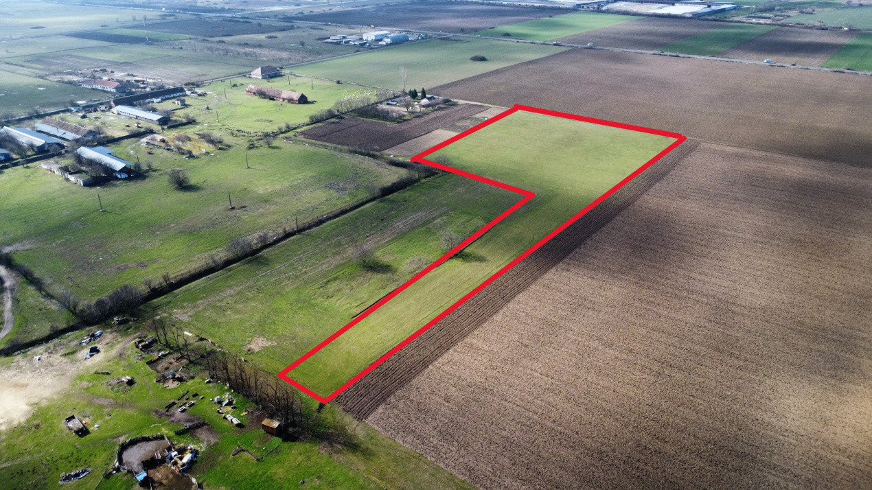 Teren intravilan 2 hectare in Padureni – oportunitate investitie sau dezvoltare 1, foxfort.ro