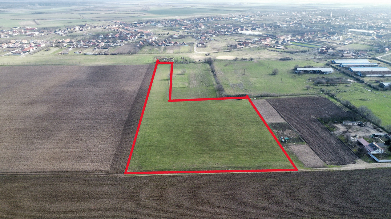 Teren intravilan 2 hectare in Padureni – oportunitate investitie sau dezvoltare 2, foxfort.ro