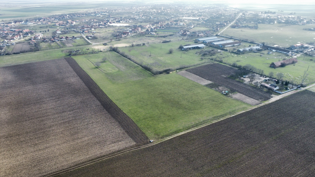 Teren intravilan 2 hectare in Padureni – oportunitate investitie sau dezvoltare 4, foxfort.ro