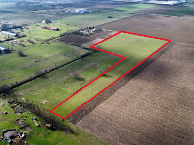 Teren intravilan 2 hectare in Padureni – oportunitate investitie sau dezvoltare