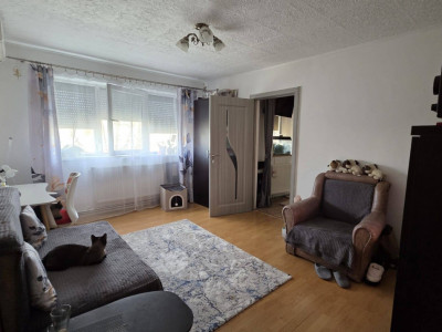 Apartament 2 camere semidecomandat, zona Iosefin 