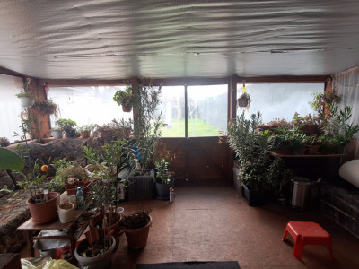 Casa individuala cu 6 camere de vanzare in zona Iosefin imagine mica 16, foxfort.ro