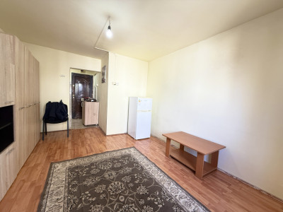 Apartament cu o camera de vanzare in Timisoara, zona Aradului imagine mica 12, foxfort.ro