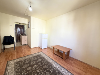 Apartament cu o camera de vanzare in Timisoara, zona Aradului imagine mica 13, foxfort.ro
