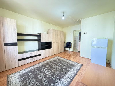 Apartament cu o camera de vanzare in Timisoara, zona Aradului imagine mica 15, foxfort.ro