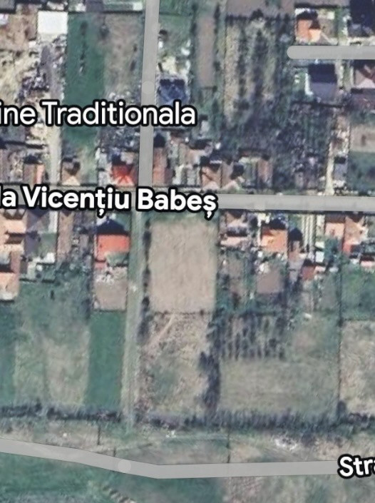 Teren intravilan de 2251 mp cu toate utilitatile - Mosnita Veche 1, foxfort.ro