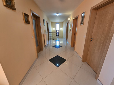 Casa Individuala cu functiune mixta (locuinta + afacere) - Bogdanestilor imagine mica 33, foxfort.ro