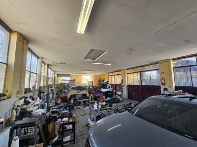 Casa Individuala cu functiune mixta (locuinta + afacere) - Bogdanestilor imagine mica 50, foxfort.ro